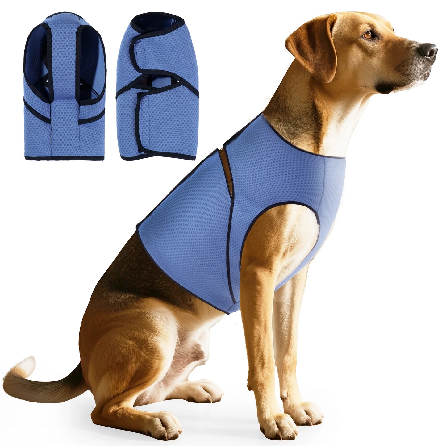Anti-Anxiety Dog & Cat Vest