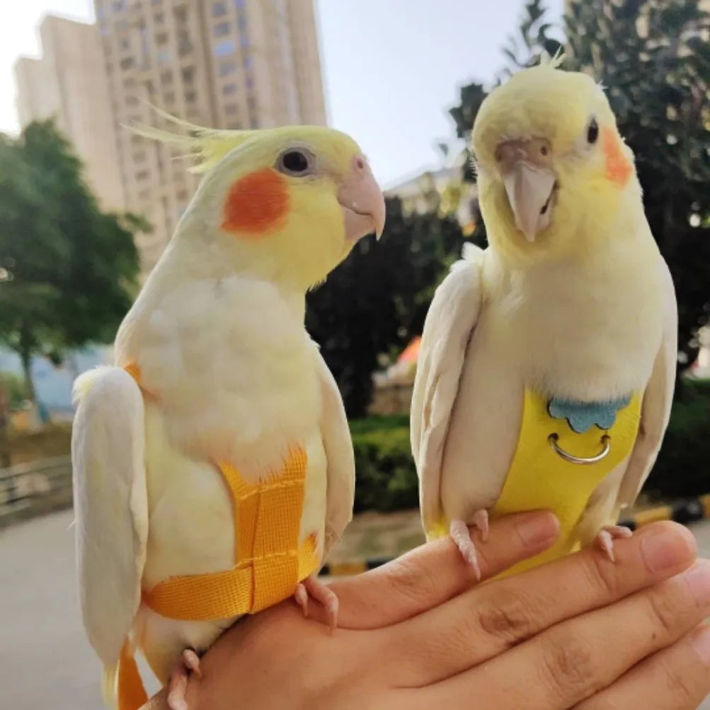 Pet Bird Cute Flower Flight Suit