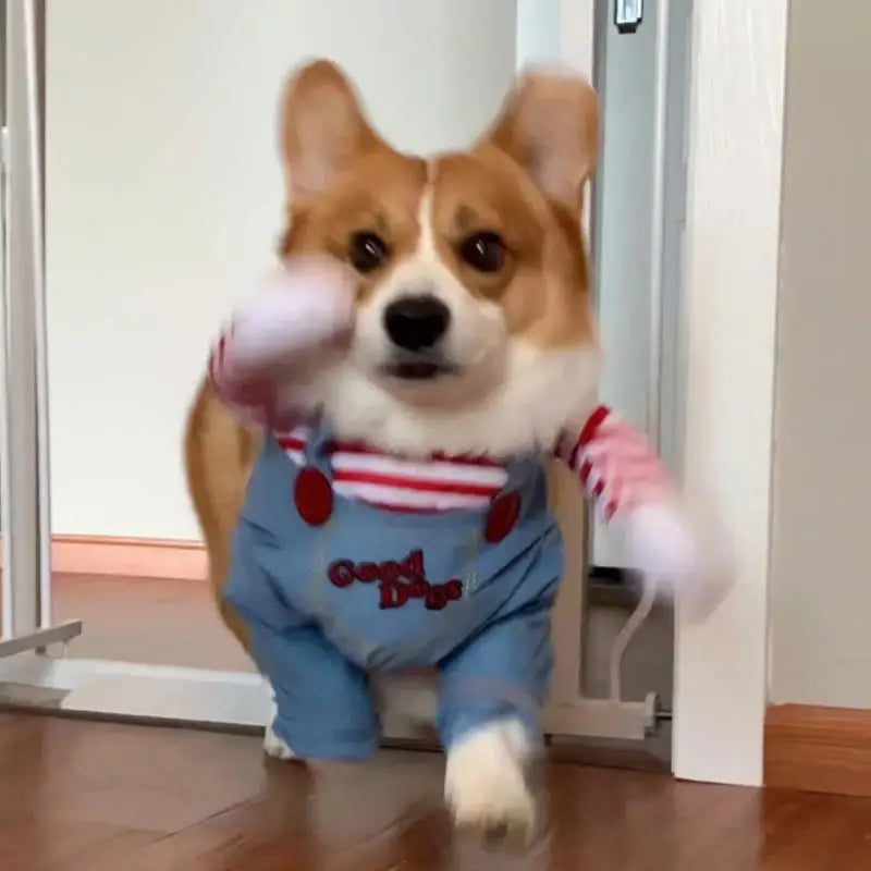 Pet Halloween Costume