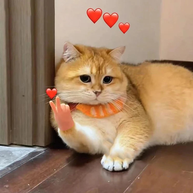 3D Printed Creative Cat Muscle Arms Halloween Pet Costume Role Play Accessories Lightweight Neck Arm Band Funny Gift For Cats