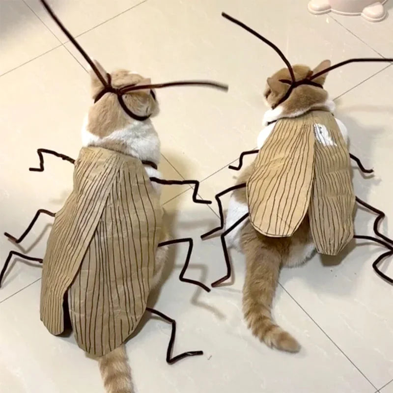 DIY Cat Cockroach Costume