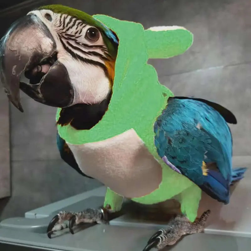 Funny Frog Bird Flight Suit
