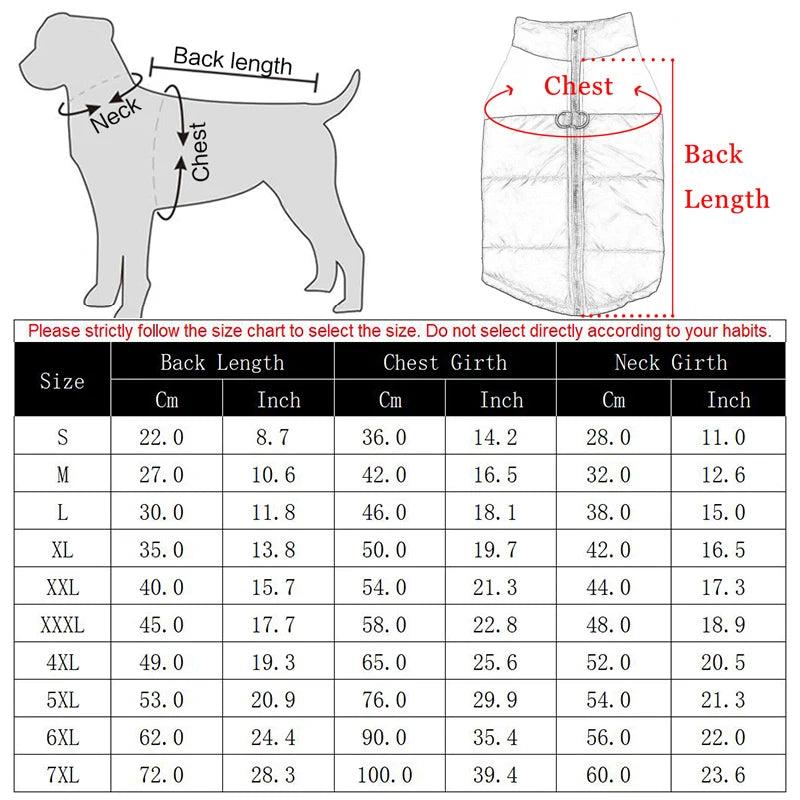 Winter Dog Coat – Waterproof & Warm