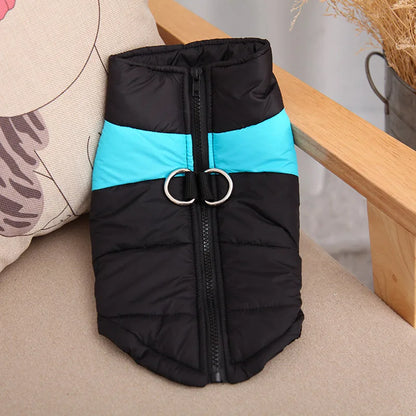 Winter Dog Coat – Waterproof & Warm