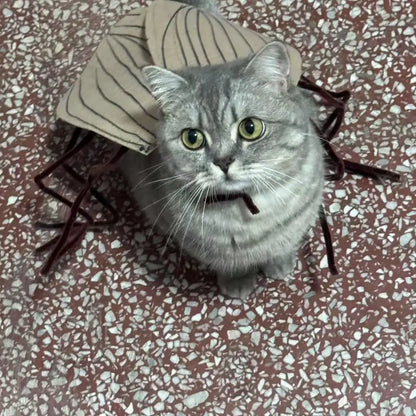 DIY Cat Cockroach Costume