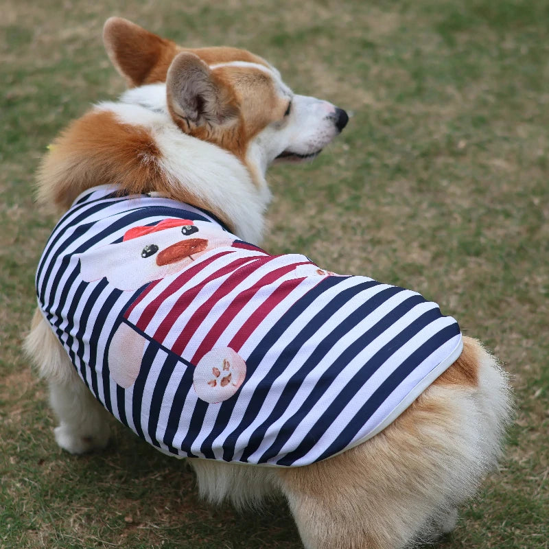 Cooling Dog Clothes