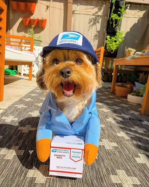 Pet Courier Costume