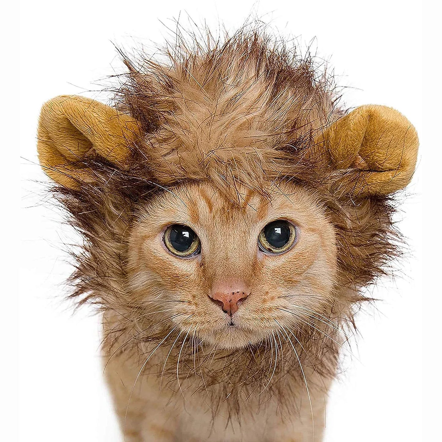 Cat Lion Mane Halloween Costume for Cats Lion Costume for Small Dogs Cats and Kitten Outfits for Halloween Christmas Pet Clothes