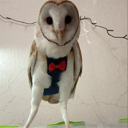 Pet Bird Diaper & Flight Outfit