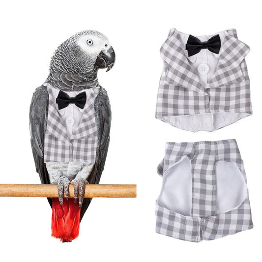 Bird Grey Suit with Bow Tie