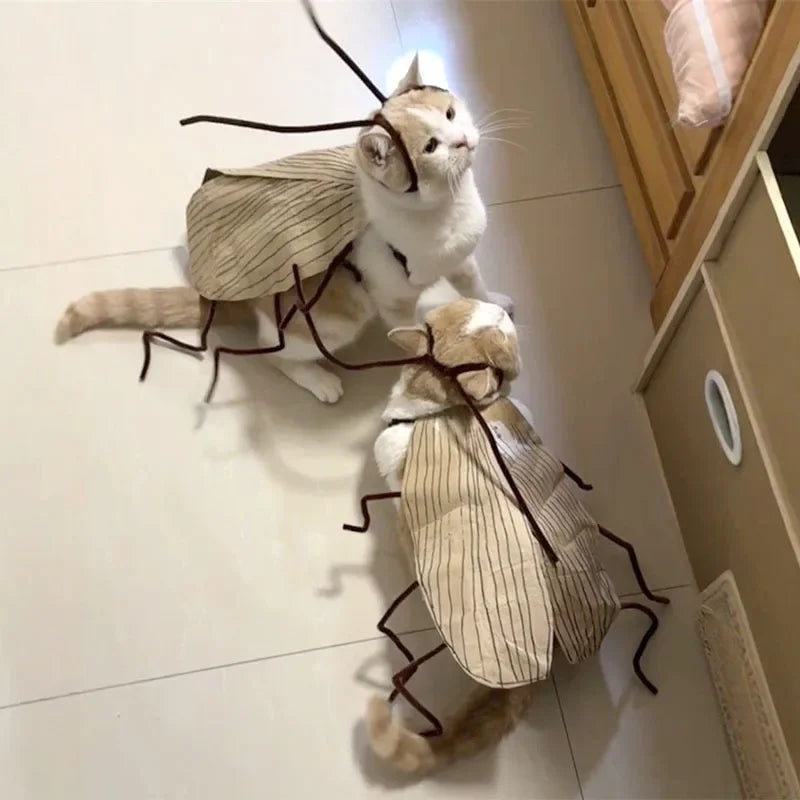 DIY Cat Cockroach Costume