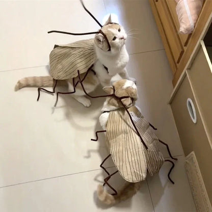 DIY Cat Cockroach Costume
