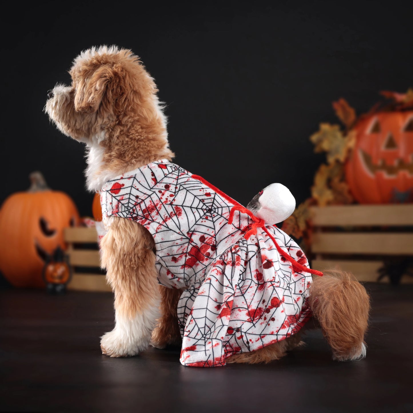 Halloween Dog Dress – Spider & Skull
