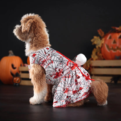 Halloween Dog Dress – Spider & Skull