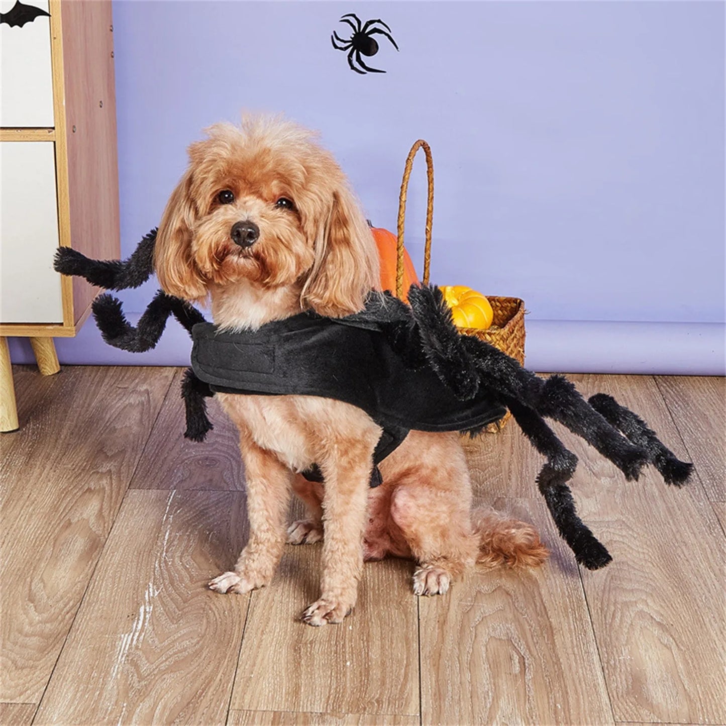 Spider Halloween Dog Costume, Funny Puppy Pet Halloween Costumes For Cat Dog, Halloween Party Cosplay Accessories Spider Decor