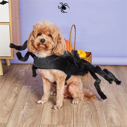 Spider Halloween Dog Costume, Funny Puppy Pet Halloween Costumes For Cat Dog, Halloween Party Cosplay Accessories Spider Decor