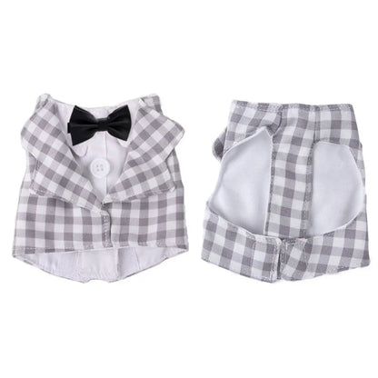 Bird Grey Suit with Bow Tie