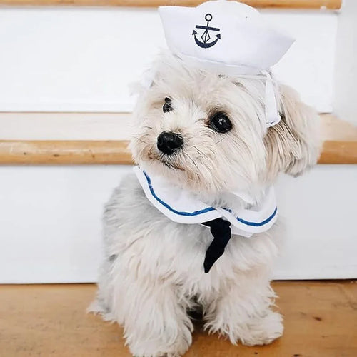 Funny Pet Cat Costumes Small Dog Rabbit Apparel Clothes For Halloween Cosplay Navy Sailor Clothes Jacket Cloak Dog Accessories