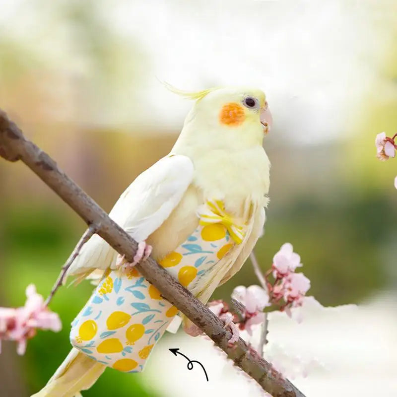 Washable Cute Pet Bird Diaper & Flight Suit
