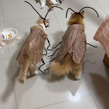 Cockroach Costume for Cats Pet Apparel Dress up Wings and Antenna Set Pet Supplies for Holiday Festival Party Decoration Outdoor