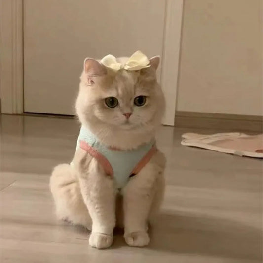 Cat Clothes Cute Summer Thin Style Four Foot Clothing Macarone Air Conditioning Vest Pet