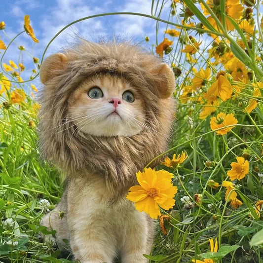Cat Lion Mane Halloween Costume for Cats Lion Costume for Small Dogs Cats and Kitten Outfits for Halloween Christmas Pet Clothes