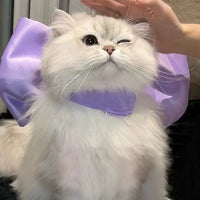 Purple bowknot