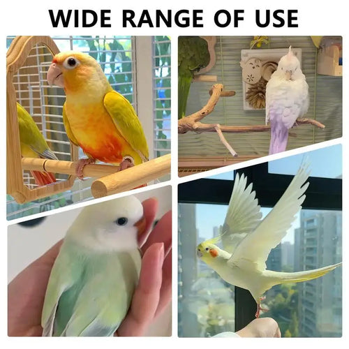 Washable Cute Pet Bird Diaper & Flight Suit