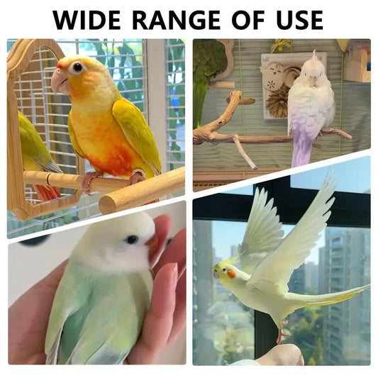 Washable Cute Pet Bird Diaper & Flight Suit