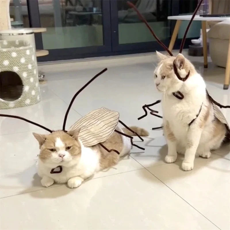DIY Cat Cockroach Costume