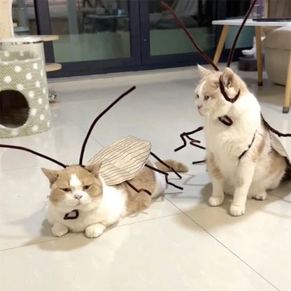 DIY Cat Cockroach Costume