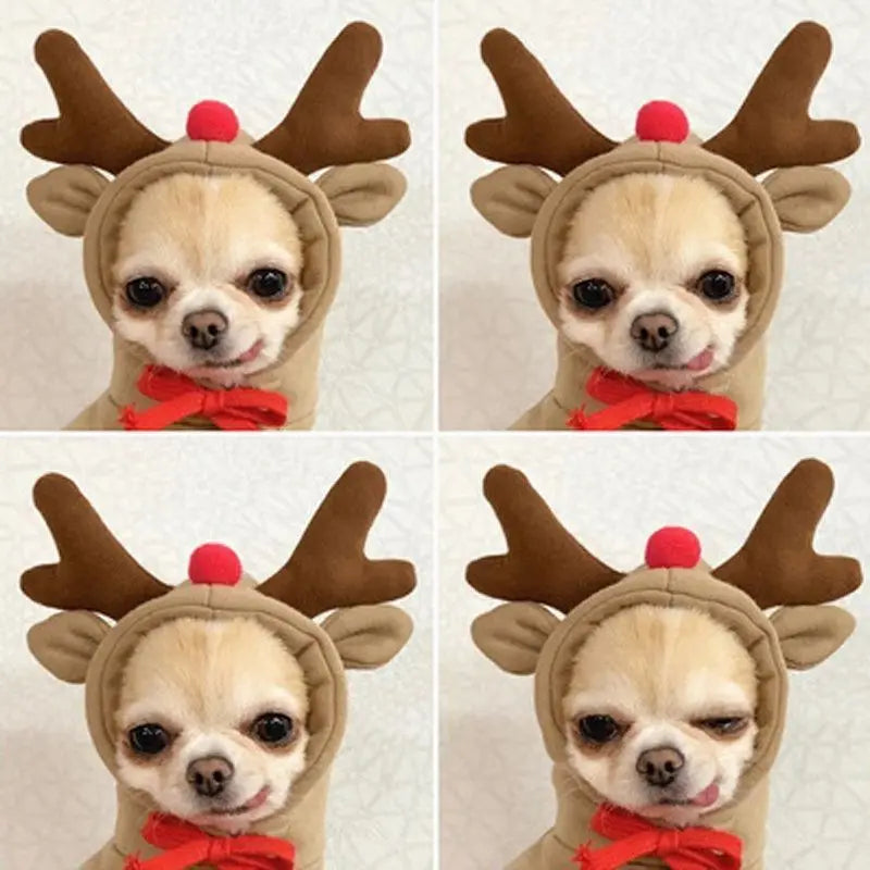 Cat Dog Hoodies Clothing Autumn Winter Cute Style Pet New Year Cute Funny Keep Warm Prevent Shedding Hair