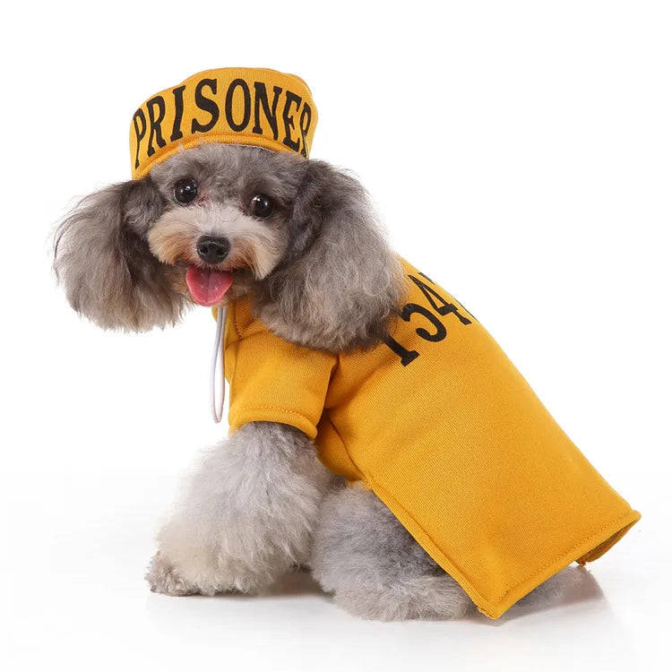Holiday Dog Costume
