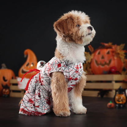 Halloween Dog Dress – Spider & Skull