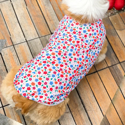 Cartoon Cute Pet Vest