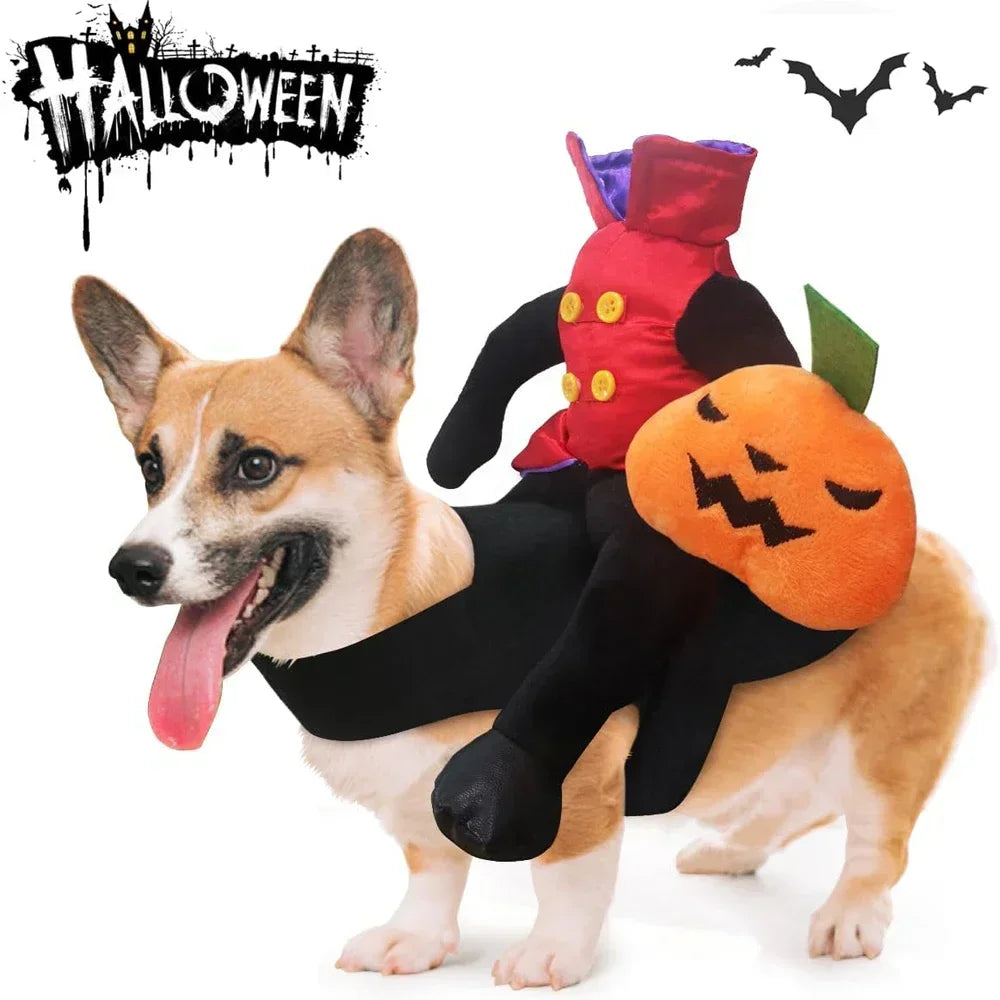 Pet Halloween Horse Riding Outfit