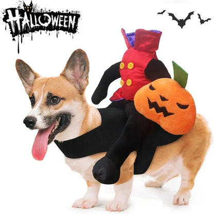 Pet Halloween Horse Riding Outfit