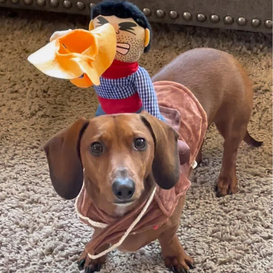 Funny Cowboy Dog Costume