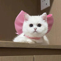 pink bowknot