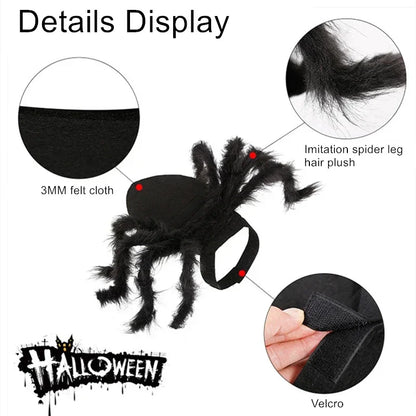 Pet Cats Dogs Funny Cosplay Spider Costume Halloween Dog Cat Clothes Halloween Party Costumes for Small Medium Dog Cats Costumes