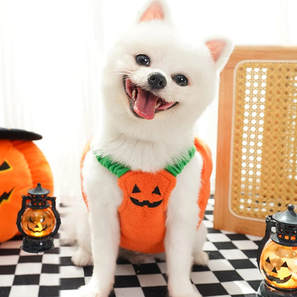 Halloween Dog Costumes Funny Pumpkin Lantern Transformation Outfit Dog Cat Two Legged Pet Cute Pumpkin Cloth Dog Jacket