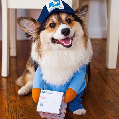 Pet Courier Costume