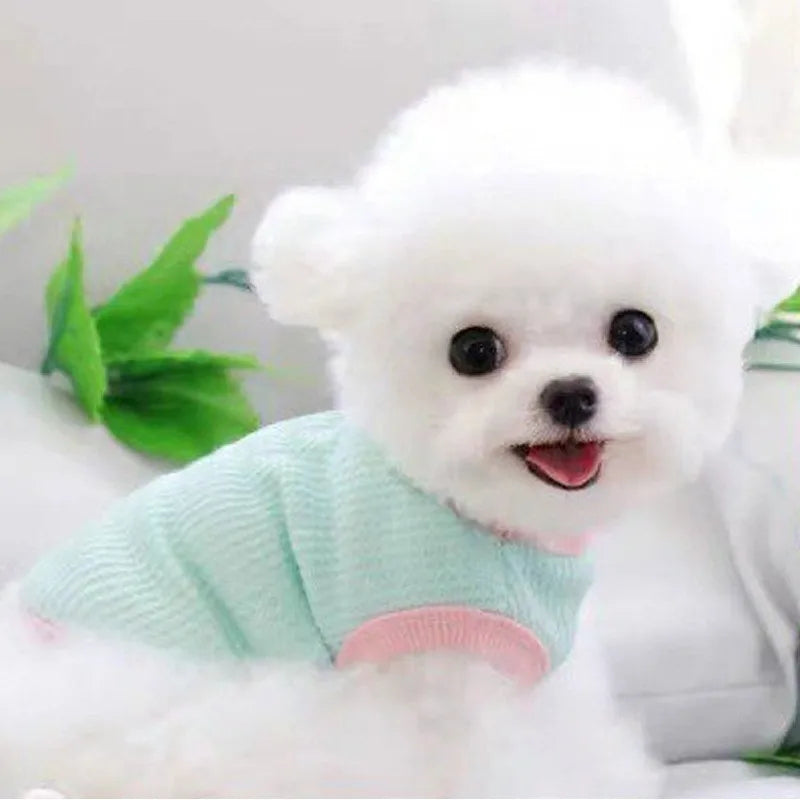 Cat Clothes Cute Summer Thin Style Four Foot Clothing Macarone Air Conditioning Vest Pet
