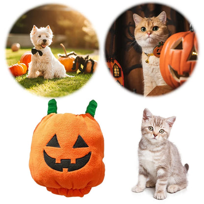 Halloween Dog Costumes Funny Pumpkin Lantern Transformation Outfit Dog Cat Two Legged Pet Cute Pumpkin Cloth Dog Jacket
