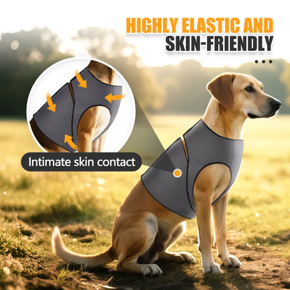 Anti-Anxiety Dog & Cat Vest