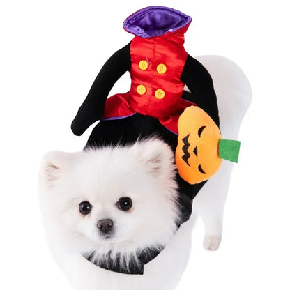 Pet Halloween Horse Riding Outfit