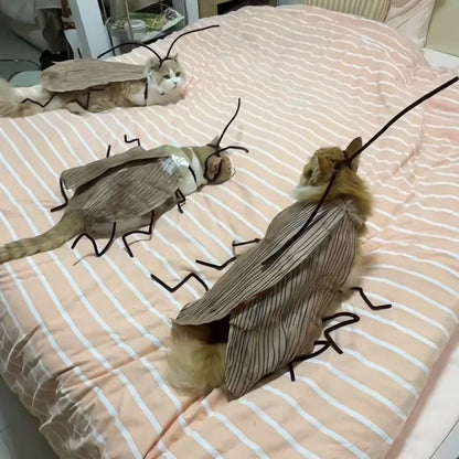 DIY Cat Cockroach Costume