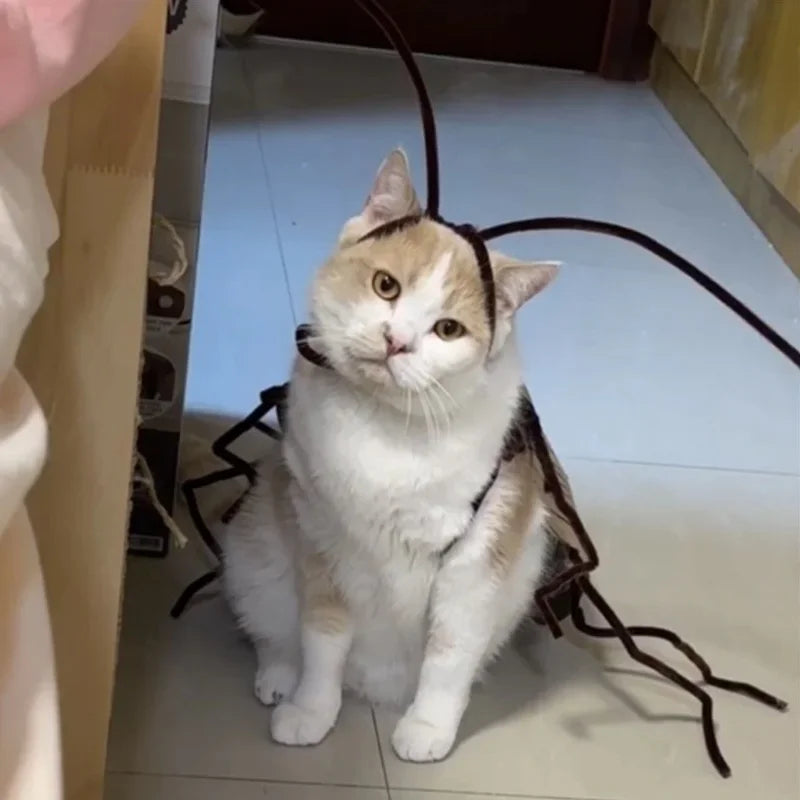 DIY Cat Cockroach Costume