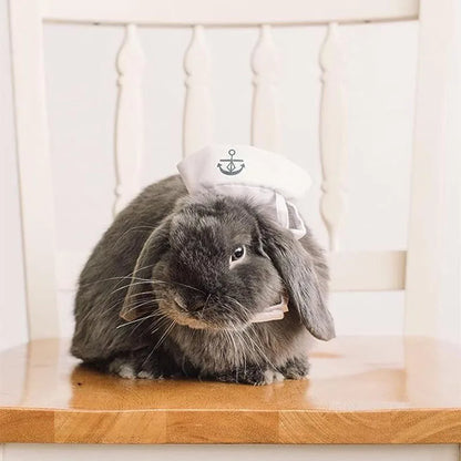 Funny Pet Cat Costumes Small Dog Rabbit Apparel Clothes For Halloween Cosplay Navy Sailor Clothes Jacket Cloak Dog Accessories