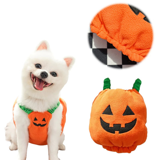 Halloween Dog Costumes Funny Pumpkin Lantern Transformation Outfit Dog Cat Two Legged Pet Cute Pumpkin Cloth Dog Jacket